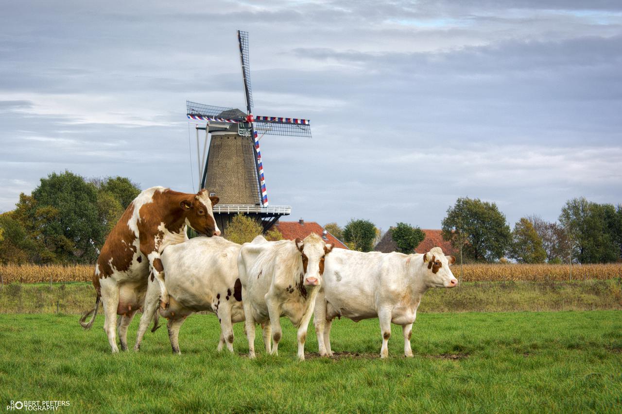 B&B, Brasserie Lakerhof Ohé en Laak エクステリア 写真